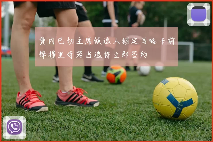 费内巴切主席候选人锁定马略卡前锋穆里奇若当选将立即签约